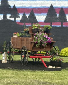 475830816_1563137764413369_8950961942184695882_n